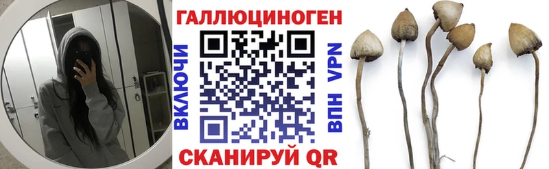 MEGA зеркало  Приморско-Ахтарск  Псилоцибиновые грибы мицелий  где купить наркоту 