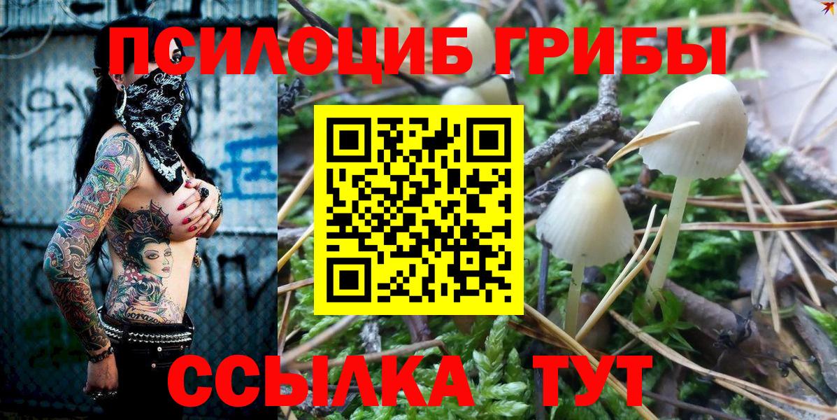 Галлюциногенные грибы MAGIC MUSHROOMS Приморско-Ахтарск