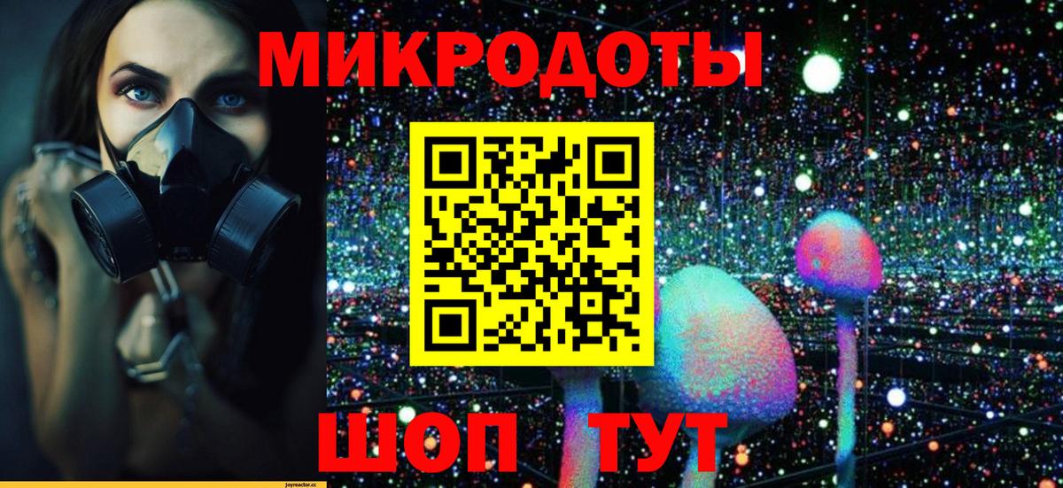 где найти   Вход с VPN  Приморско-Ахтарск  Галлюциногенные грибы прущие грибы 